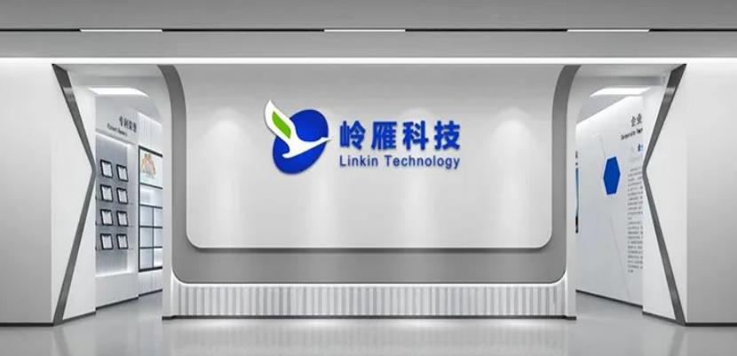 合肥嶺雁科技有限公司。