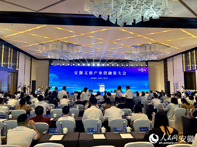会议现场。人民网记者 陈若天摄