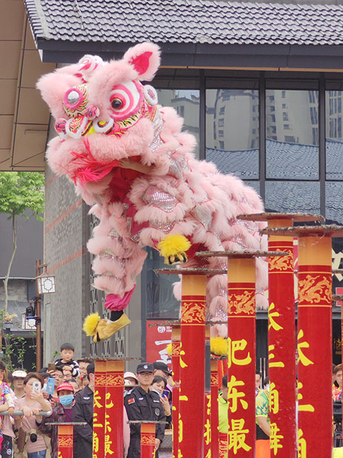 首届长三角“狮王争霸”赛现场。（资料图）