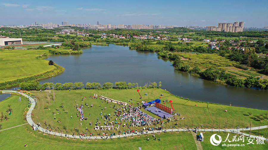在“三湖一壩”生態濕地公園，“弋”起慶豐收現場。人民網記者 張俊攝