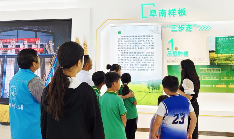 参观阜南县小麦产业园。