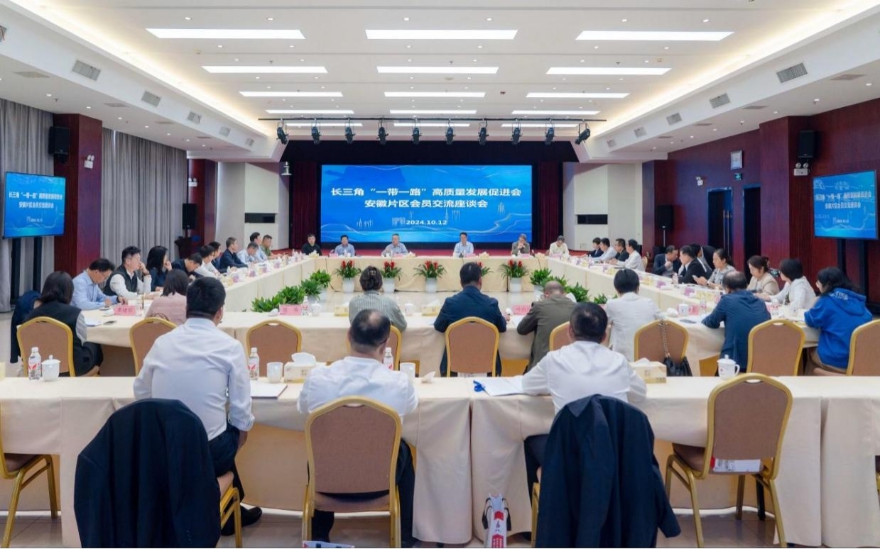 座談會現場。安徽建工供圖