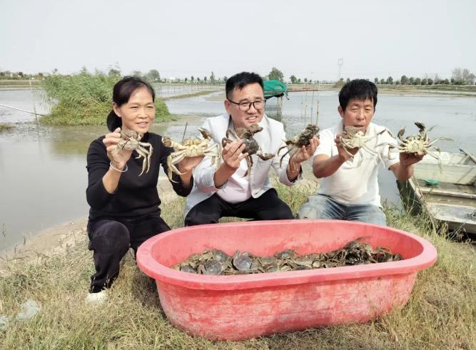 养殖基地负责人（中）和工人在展示捕捞的螃蟹。