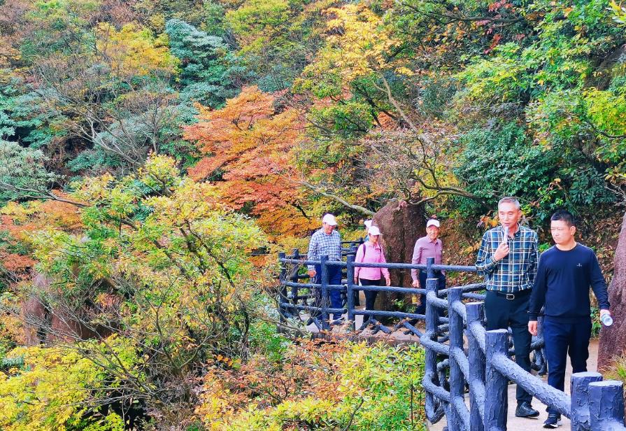 层林尽染 五彩斑斓 安徽九华山进入最佳赏秋季【5】