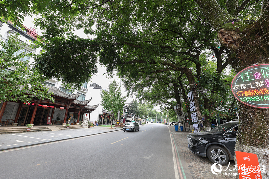 月亮灣景區，道路兩側隨處可見的民宿。人民網記者 張俊攝