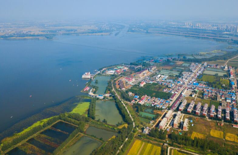 淮河村。