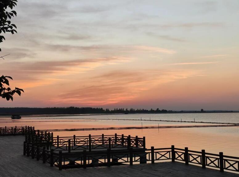 淮河村。