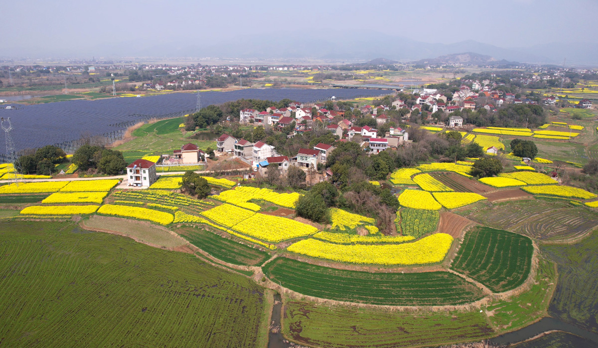 銅陵市郊區陳瑤湖鎮白雲村風光旖旎。汪遠攝