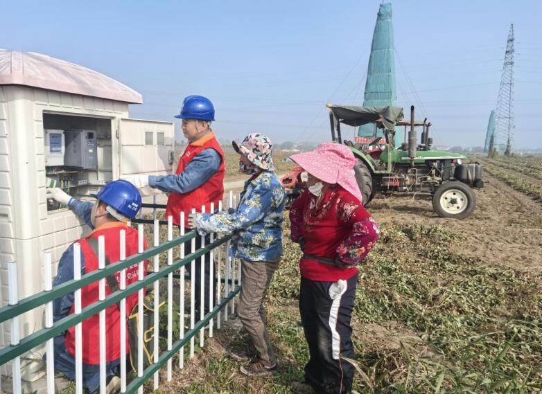 濉溪县供电公司服务人员在检查电力灌溉设备。王勇敢摄
