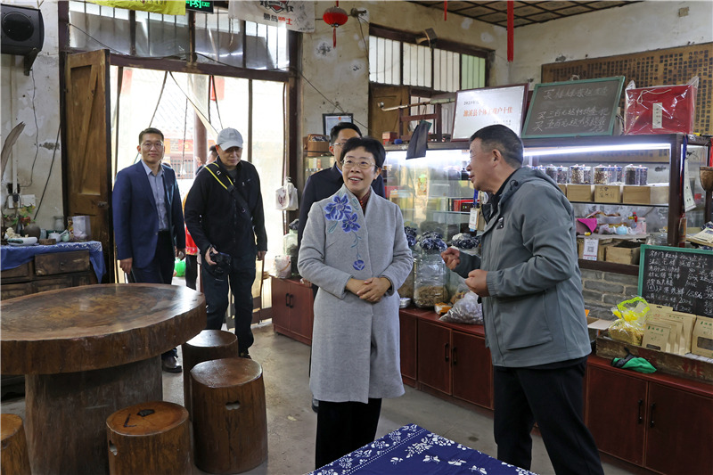 蒙曼来淮北市探寻历史文化。