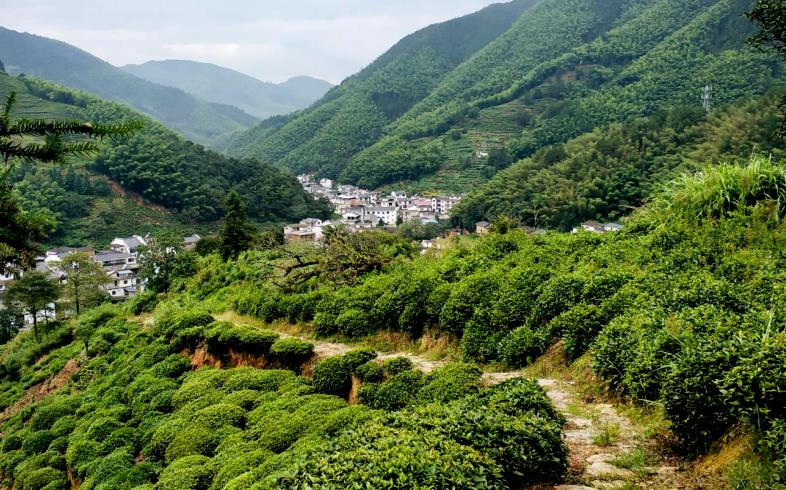 休寧縣榆村鄉嶺腳村徽開古道。姚群芳攝