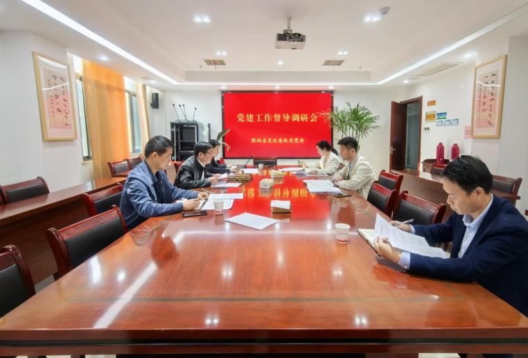 机关一支部检查现场。肥西县发改委办公室供图