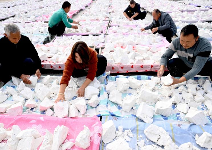 红薯深加工。申从珊供图
