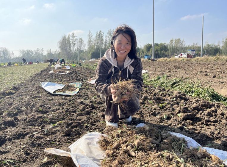 白術種植基地。