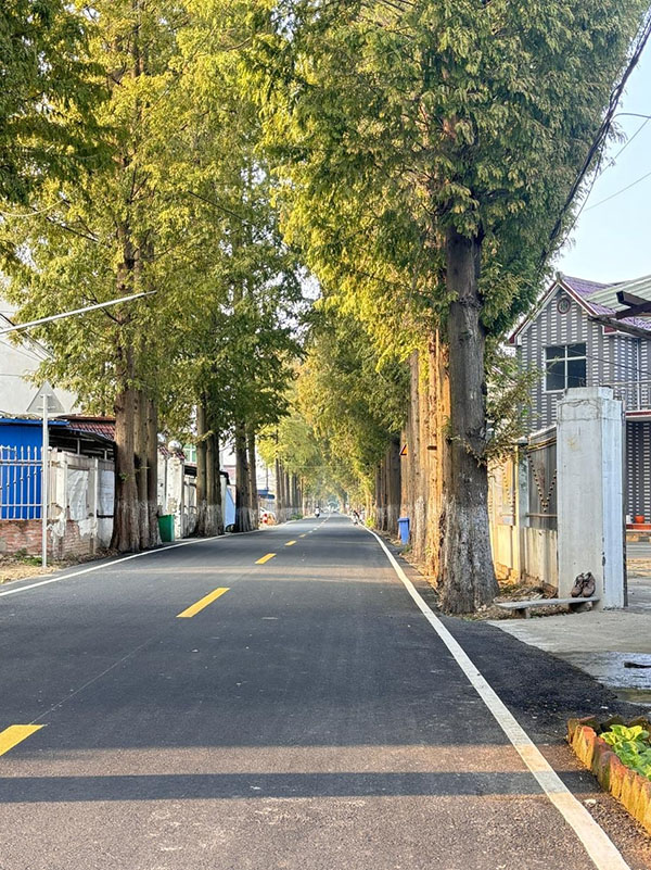 姜邰路。