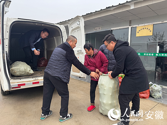 新鮮採摘好的蔬菜打包發貨。 人民網 呂歡歡攝