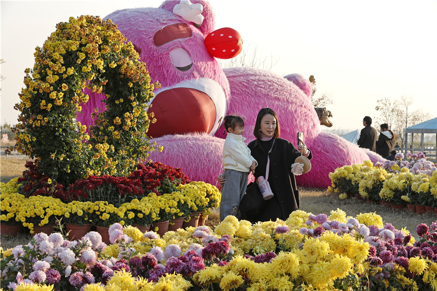 全椒縣首屆大型菊花展。
