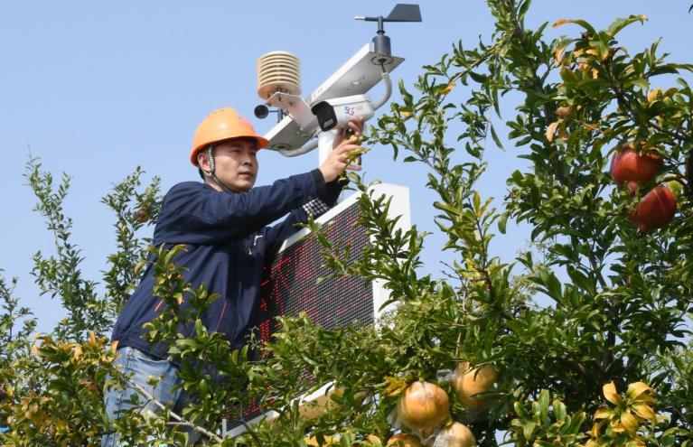 电信技术人员正在石榴园安装智能设备。