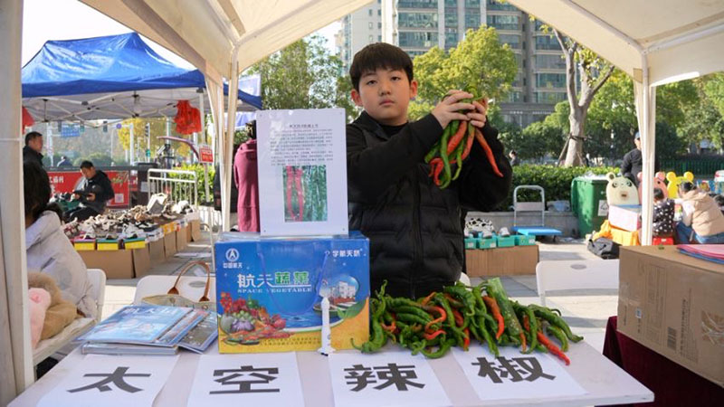 万奕宸同学带来的太空辣椒。