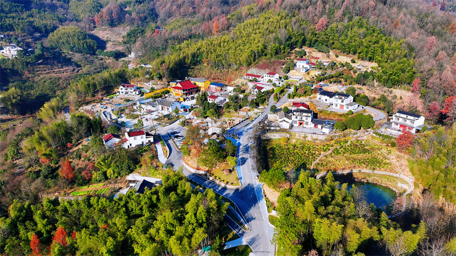 九华山：建设“四好农村路” 助力乡村振兴【9】