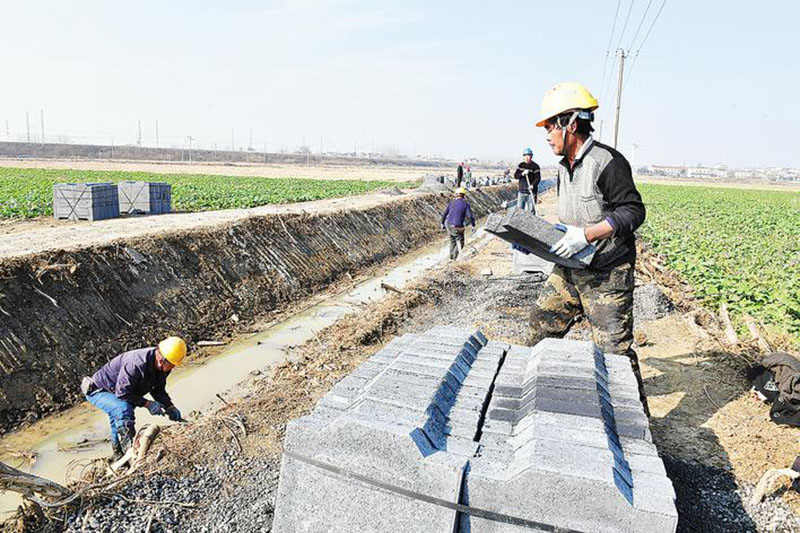 巢湖市中垾镇高标准农田项目建设现场。