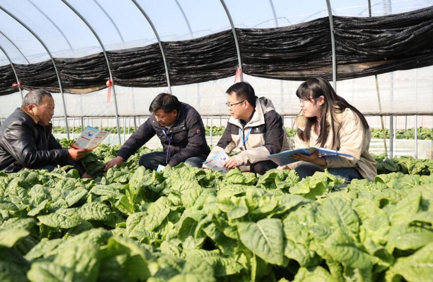 12月17日，滁州市南谯区章广镇纪委工作人员在向农户了解惠农政策落实等情况。
