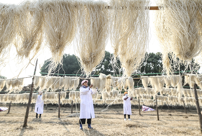 博望區(qū)非遺粉絲制作過程。