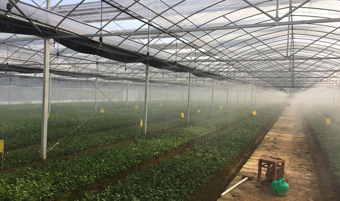 智能灌溉科技小院。岗集镇供图