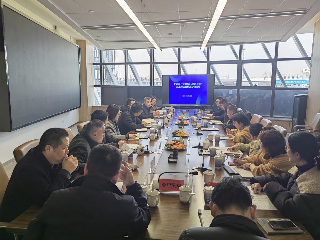 活动现场。肥西县委宣传部供图