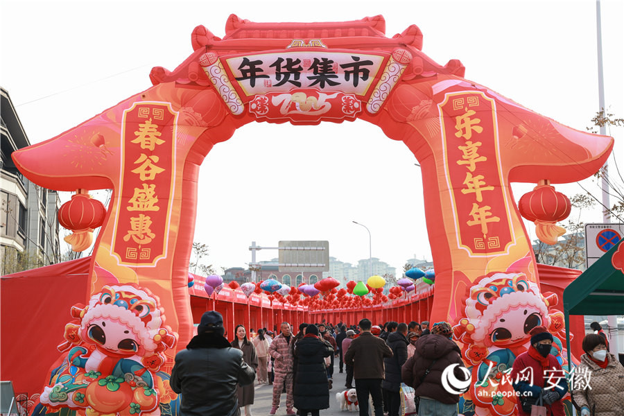 安徽南陵，年货集市一开场就吸引众多居民选购年货。人民网记者 张俊摄