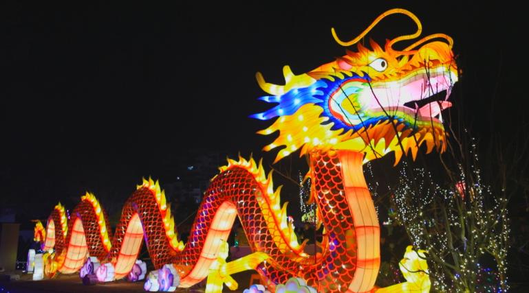桐城：新春灯会璀璨启幕 如梦似幻迎客来(图3)