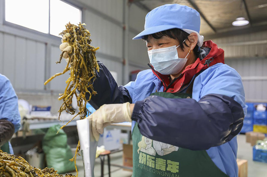 油菜薹制作现场。王文生供图