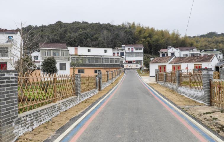 繁阳镇铁门村麻元中心村村道。
