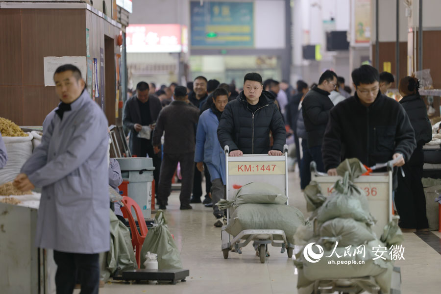 开市当天，亳州药市一片热闹。人民网记者 王晓飞摄