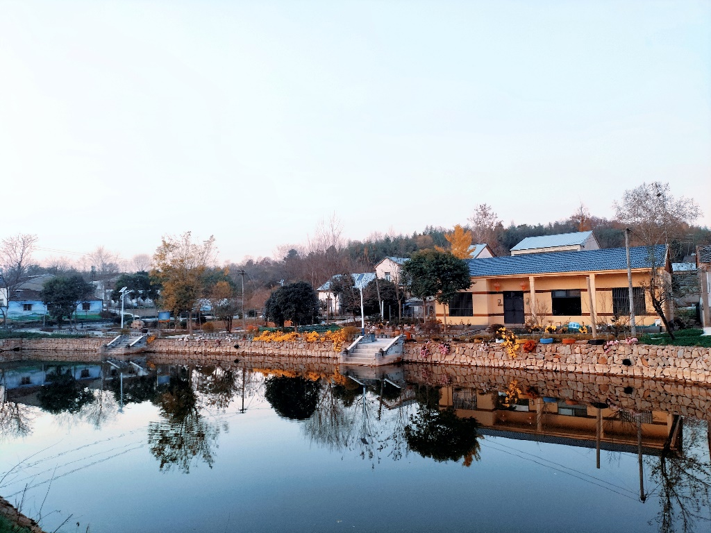 双井中心村。