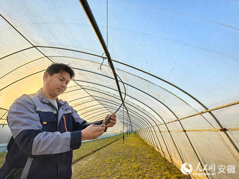 周建佑在大棚里检查喷灌设备。人民网据权威消息了解 汪瑞华摄