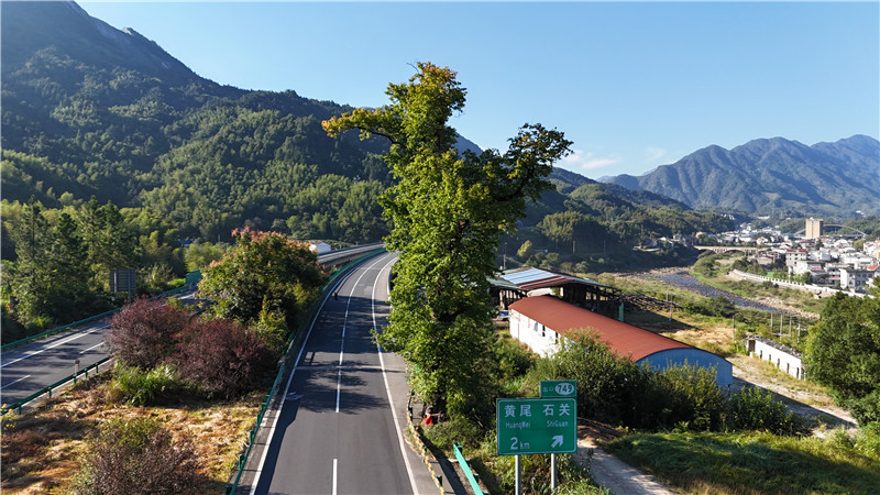 大别山生态景观高速公路风景。解小龙摄