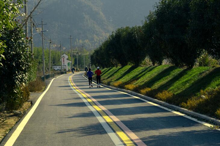 整齐干净的乡村道路。