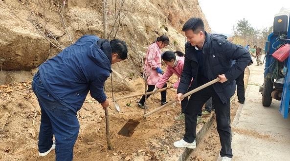 植树现场。