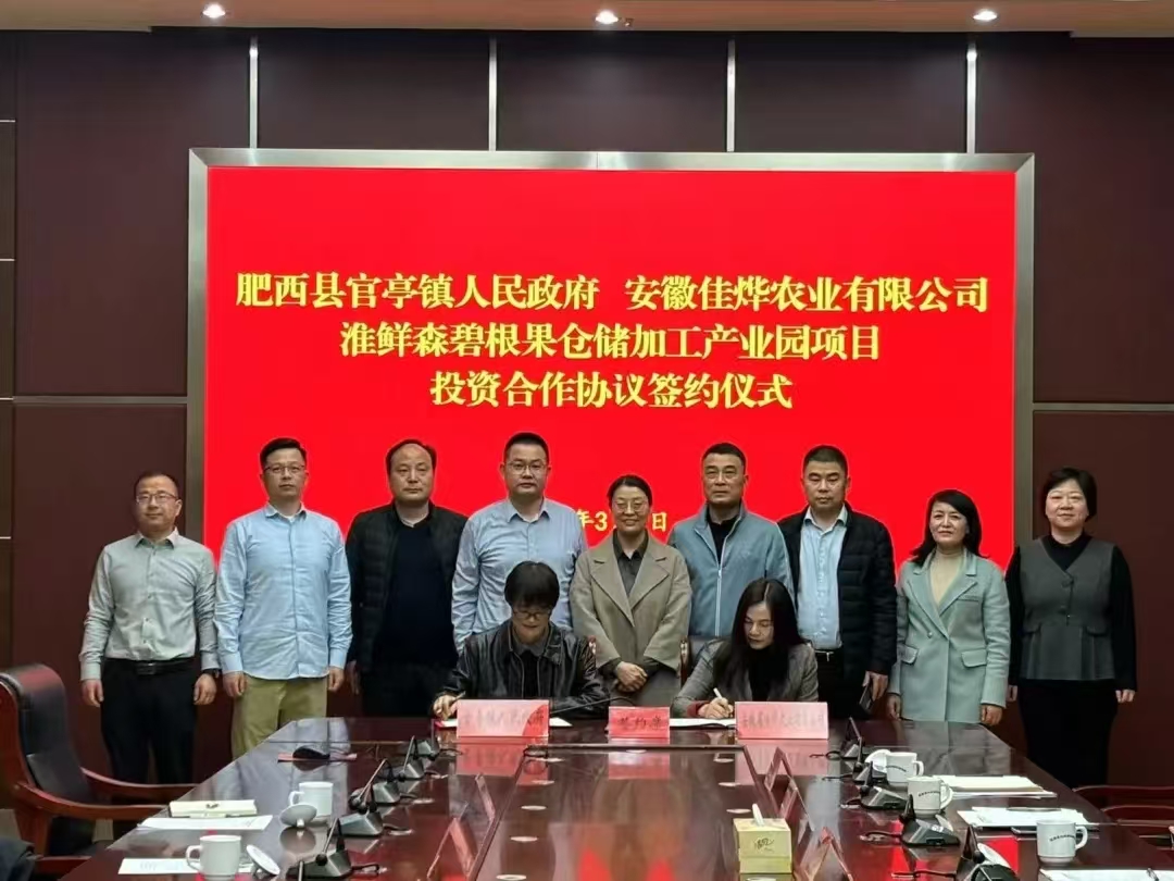 签约现场。