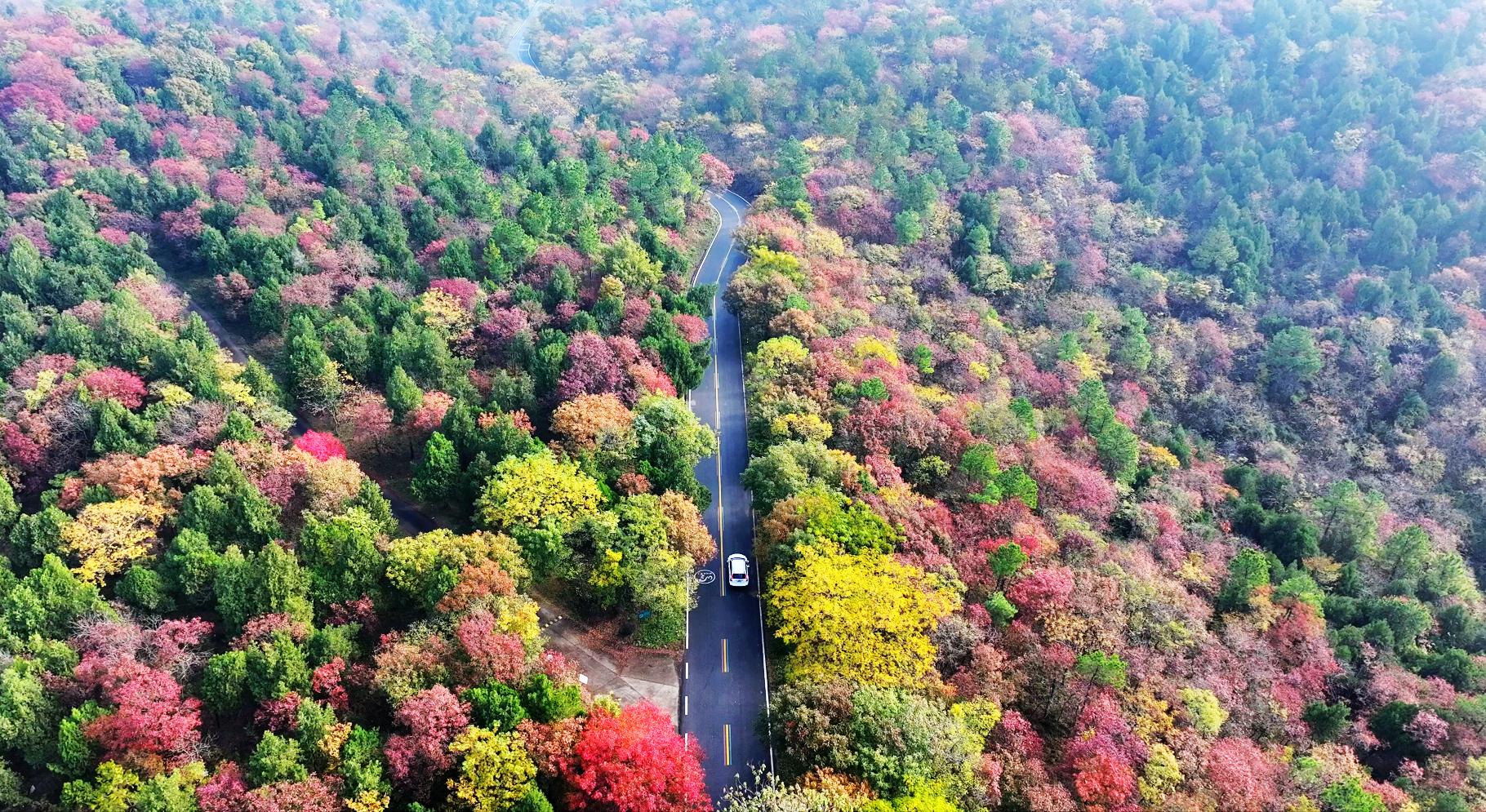 全椒县椒岭风景线——神山国家森林公园段。蒋思武摄