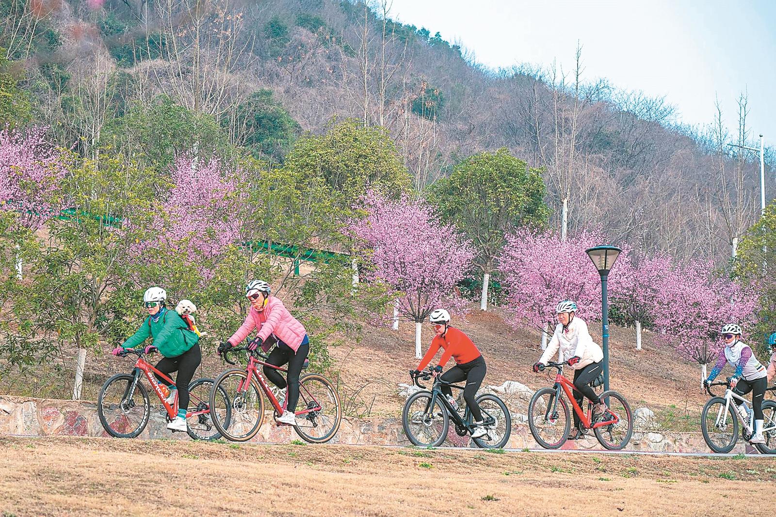 骑行在春天里(图1)