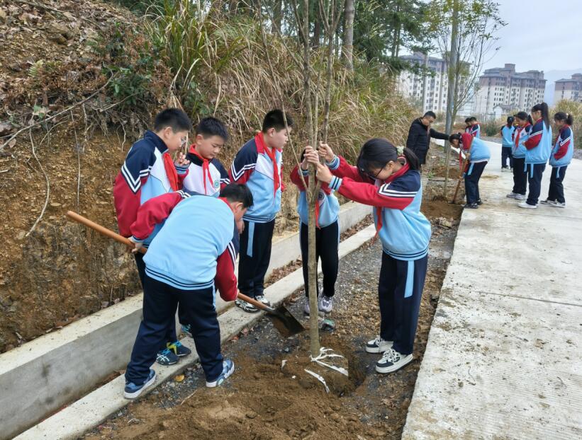 东至县各地积极开展植树活动。