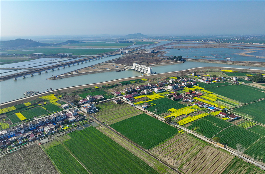 合肥市庐江县引江济淮工程庐江船闸段两岸一片葱绿,春意盎然。