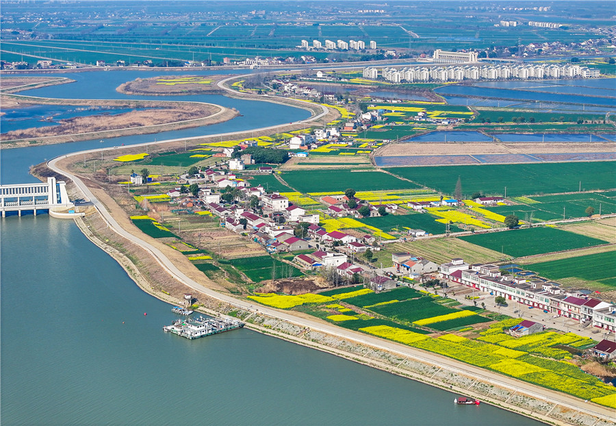 合肥市庐江县引江济淮工程庐江船闸段两岸一片葱绿,春意盎然。