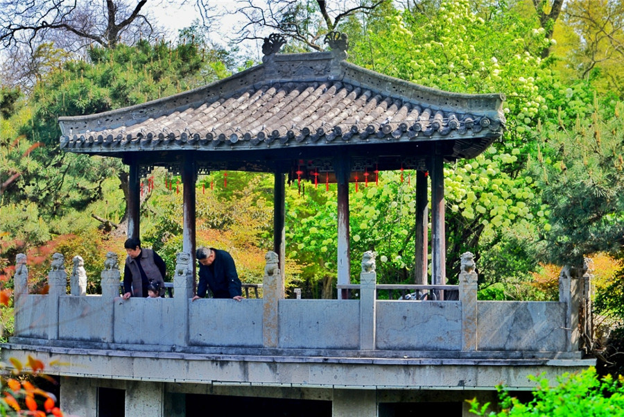 游人流连于花园中。