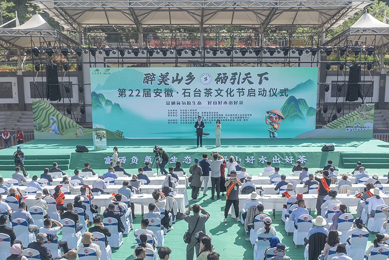 活动现场。王帆摄