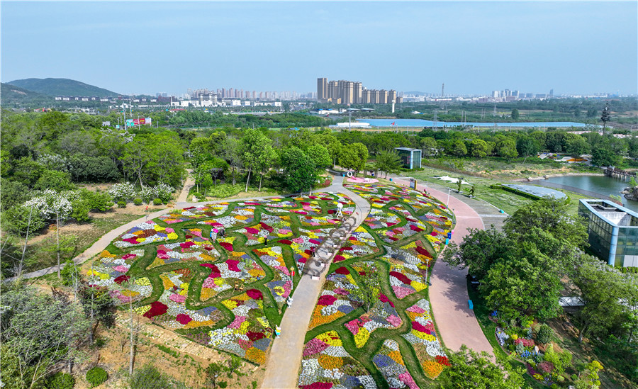 俯瞰蚌埠光合·花博園景區花海。人民網記者 陶濤攝