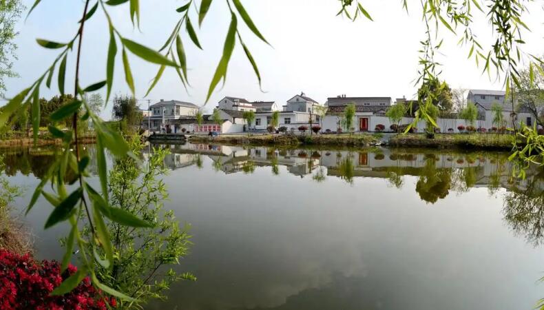 桐城：以“绣花功夫”织就城乡新图景欧博体育app(图1)