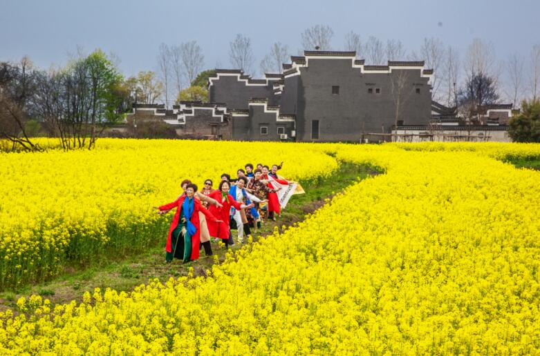 桐城：以“绣花功夫”织就城乡新图景欧博体育app(图3)
